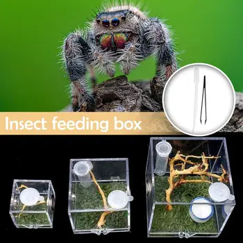 Kutija za hranjenje pauka, gmazova, kukaca, Kutija za uzgoj gmazova, Pribor za террариума, Kutija za insekte, Kriket, Puž, Tarantula